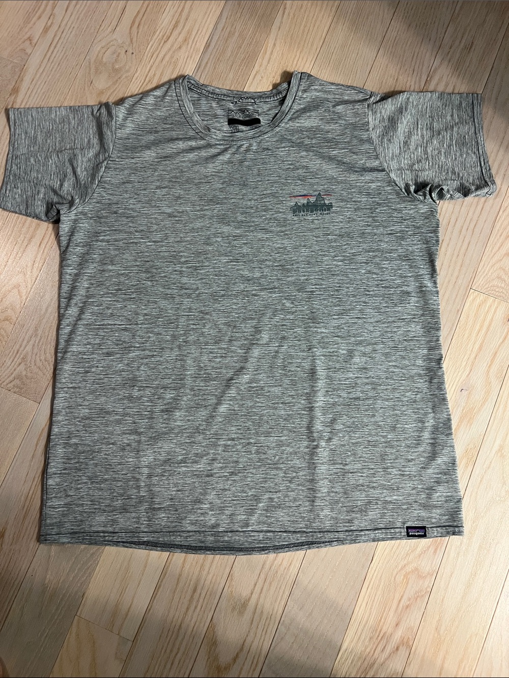Patagonia Women’s Short Sleeve Crew in Heather Gray